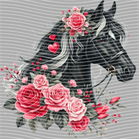 Valentine's Day-QRJ  5870